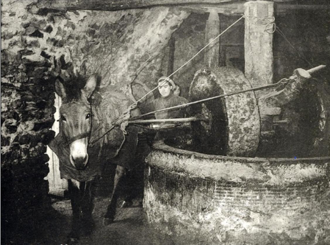 Apartmán Olive Oil Mill Kokkala Exteriér fotografie